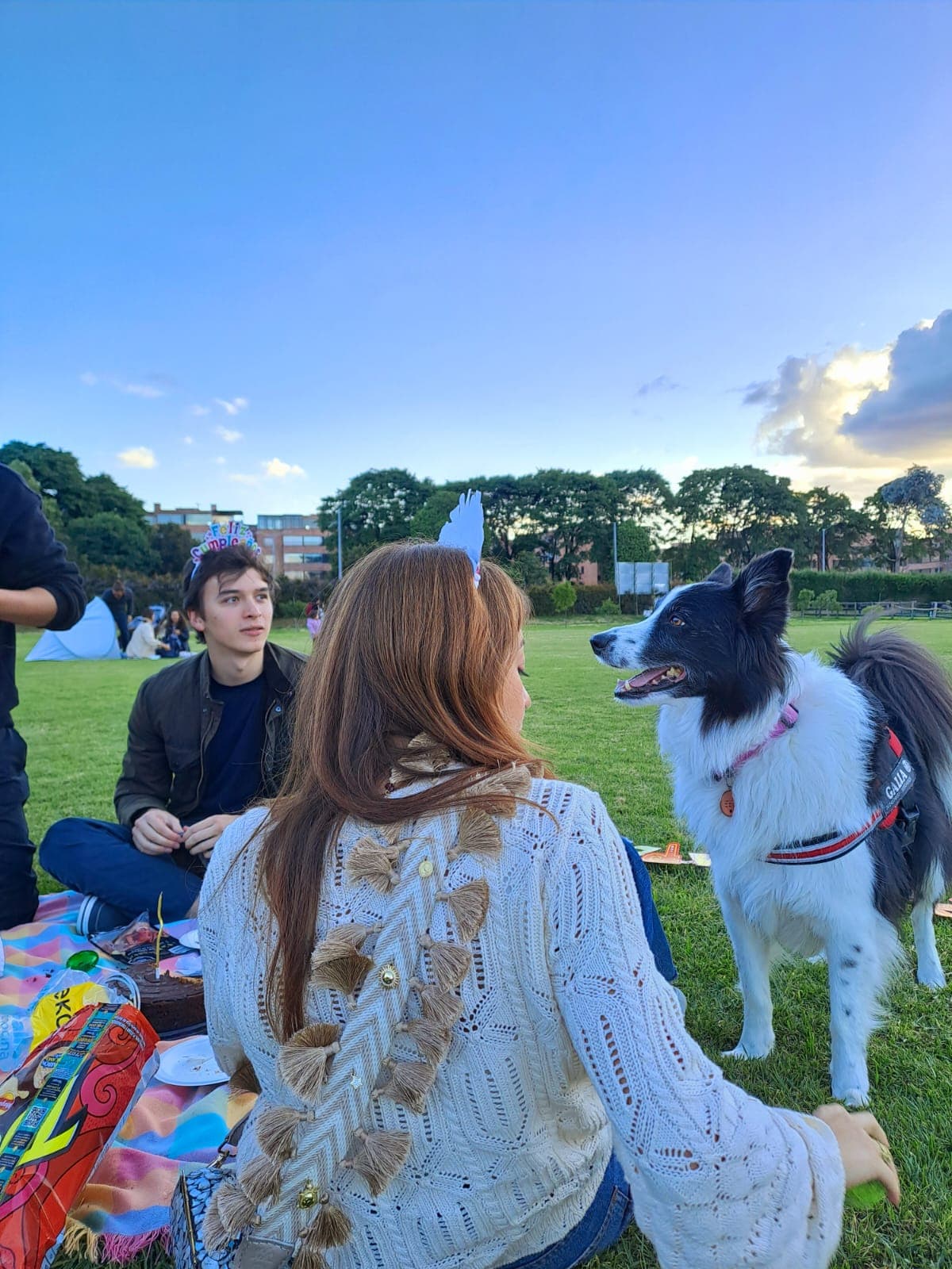 Febrero 2025 - Foto 1