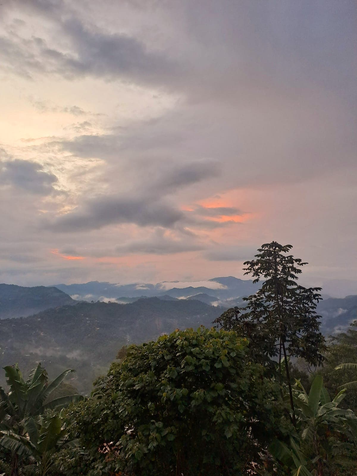 Noviembre 2024 - Foto 1